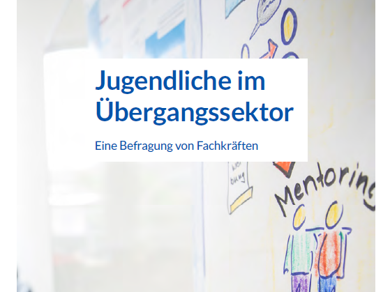 Titelbild der Publikation "Jugendliche im Übergangssektor - Eine Befragung von Fachkräften"