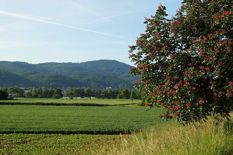 Landkreis Darmstadt-Dieburg, Ausblick auf die Bergstraße